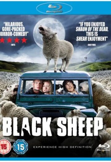 Black20Sheep202006.jpg